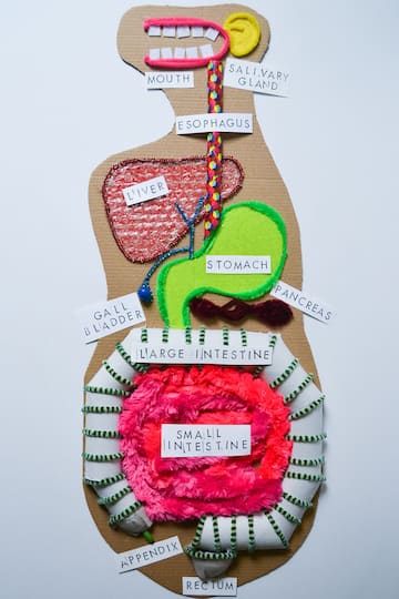 Kid Made Modern Steam Digestive System Kid Made Modern Steam Digestive System